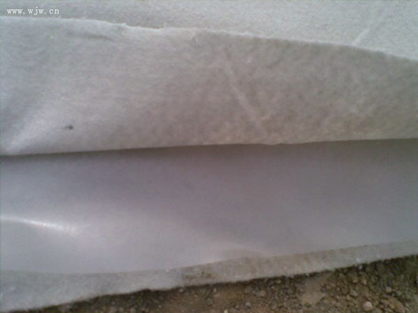 復(fù)合土工膜